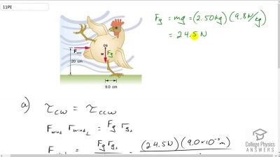 OpenStax College Physics Answers, Chapter 9, Problem 11 video poster image.