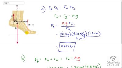 OpenStax College Physics Answers, Chapter 9, Problem 33 video poster image.