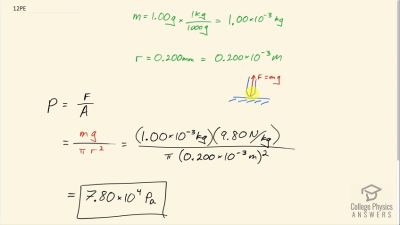OpenStax College Physics Answers, Chapter 11, Problem 12 video poster image.