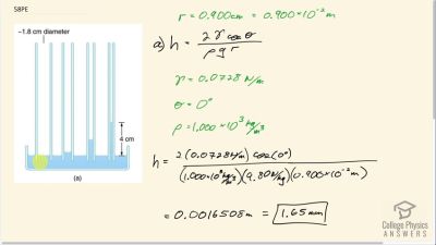 OpenStax College Physics Answers, Chapter 11, Problem 58 video poster image.