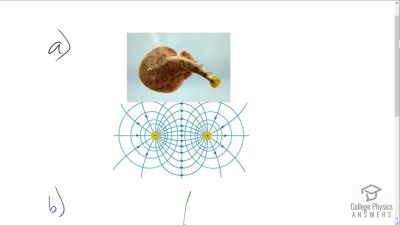 OpenStax College Physics Answers, Chapter 19, Problem 45 video poster image.